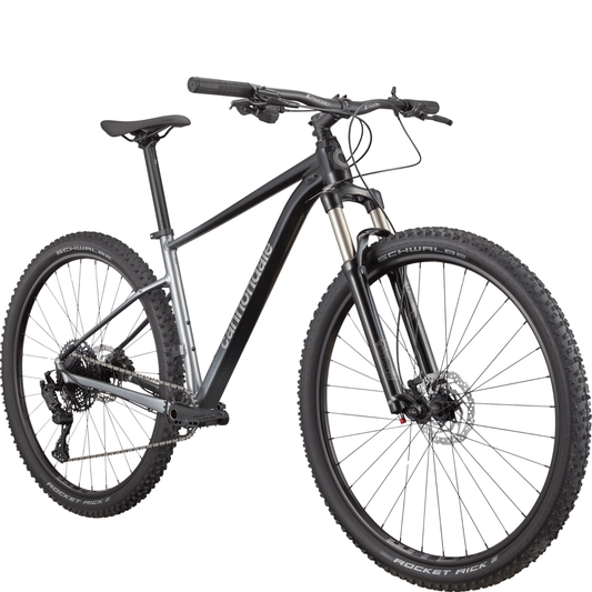 CANNONDALE Trail SL 4 29", Grey - Bicicleta