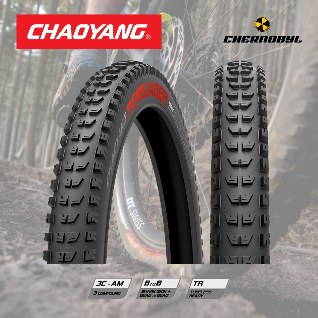 CHAOYANG Persuader Dry 3C-AM BtoB 60TPI TLR