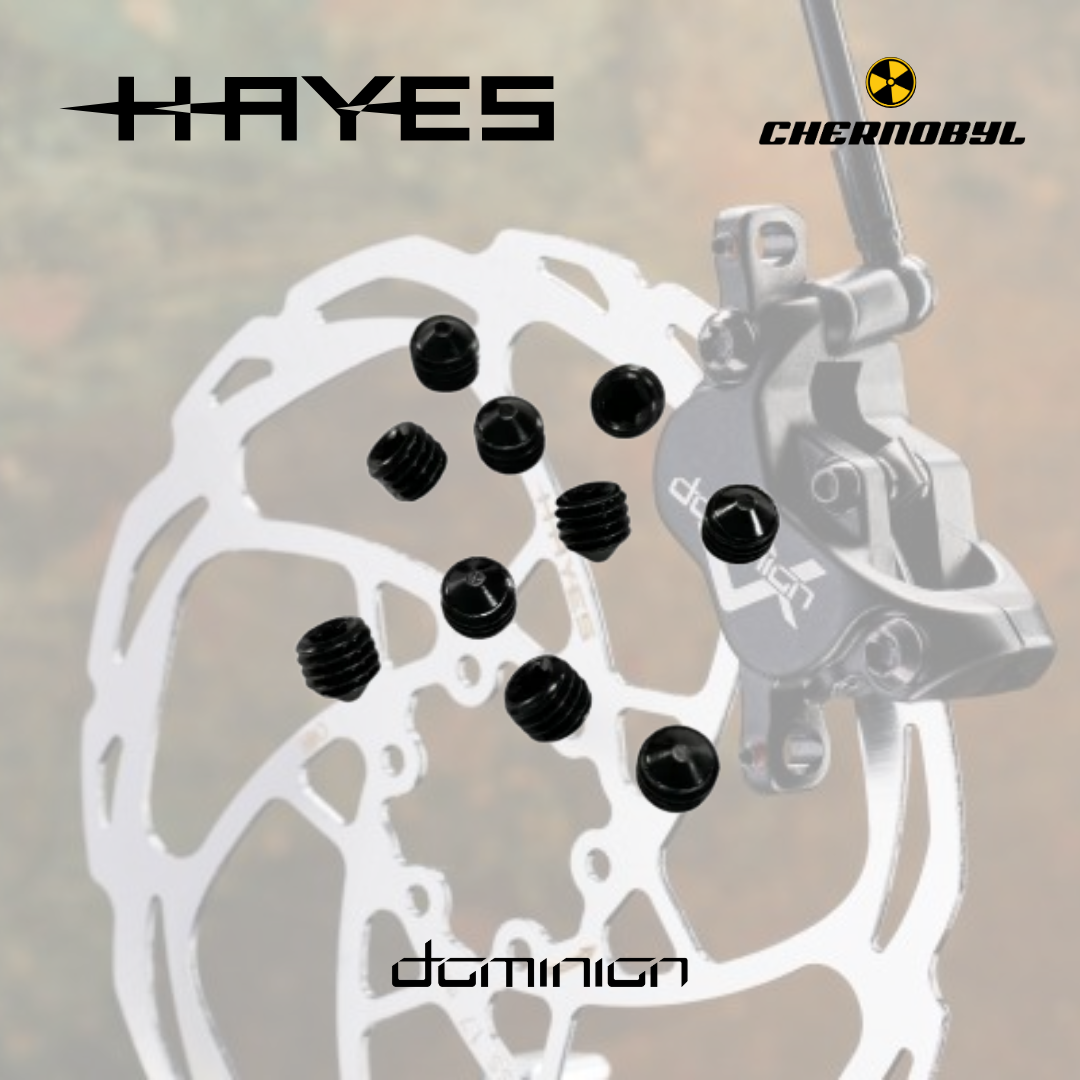 HAYES Tornillos de Purga