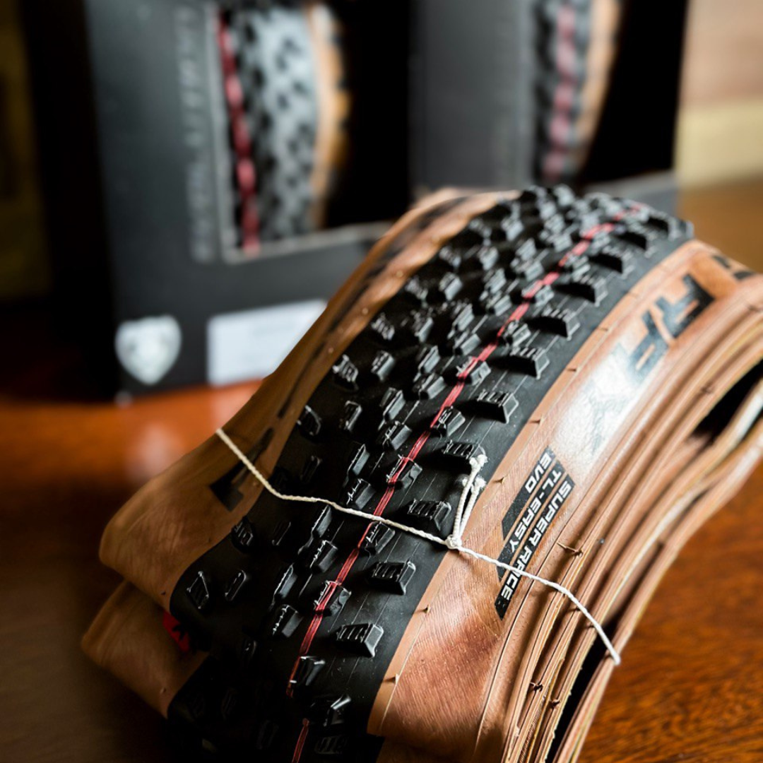 SCHWALBE Racing Ray 29" EVO ADDIX Speed SuperRace TLE Transparent Skin