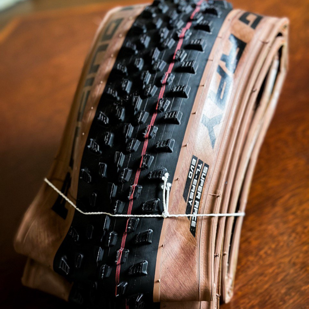 SCHWALBE Racing Ray 29" EVO ADDIX Speed SuperRace TLE Transparent Skin