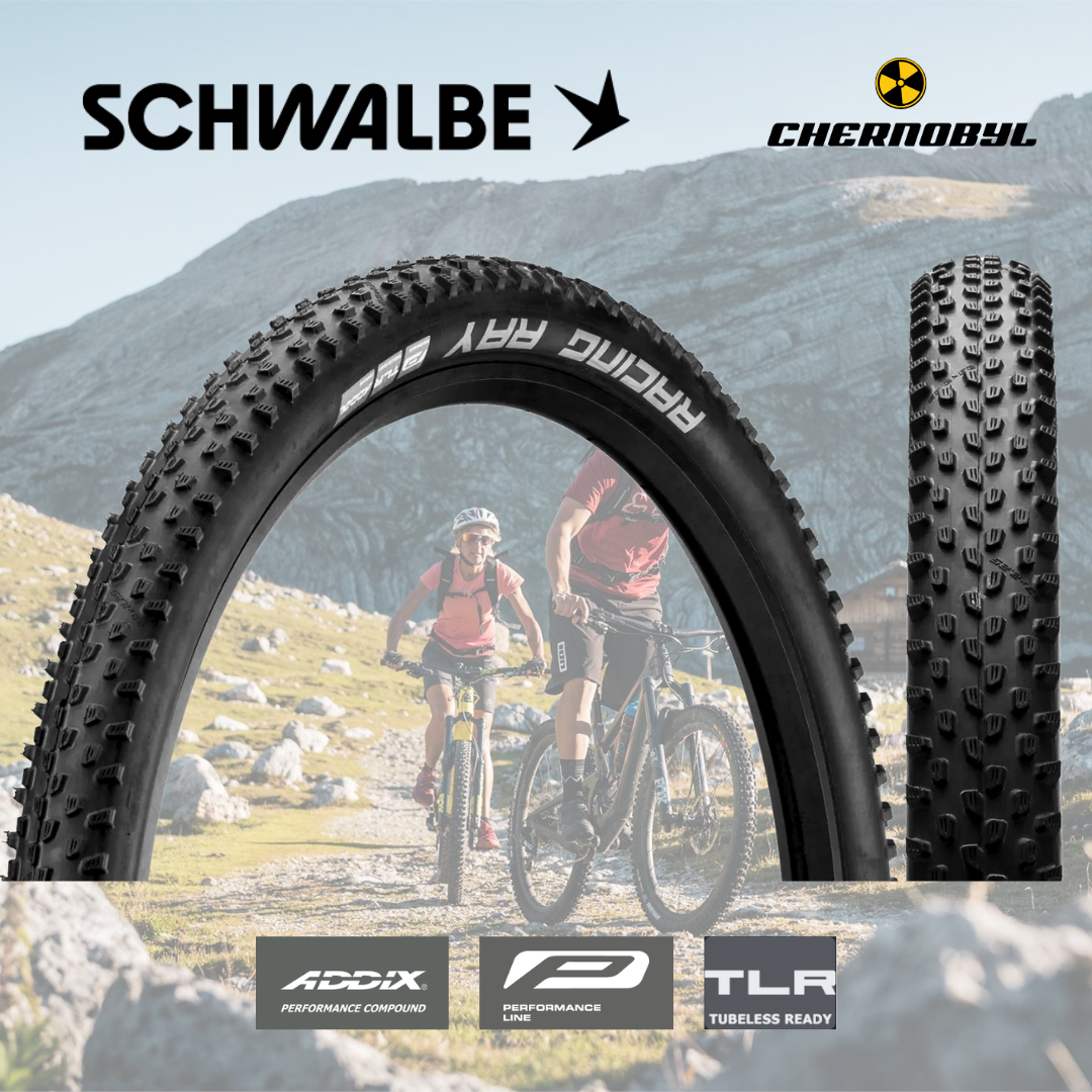 SCHWALBE Racing Ray ADDIX Performance TwinSkin TLR Black