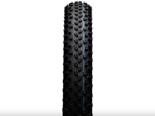 SCHWALBE Racing Ray 29"x2.25 EVO ADDIX SpeedGrip SuperGround TLE Black