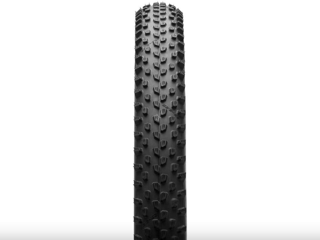 SCHWALBE Racing Ray ADDIX Performance TwinSkin TLR Black