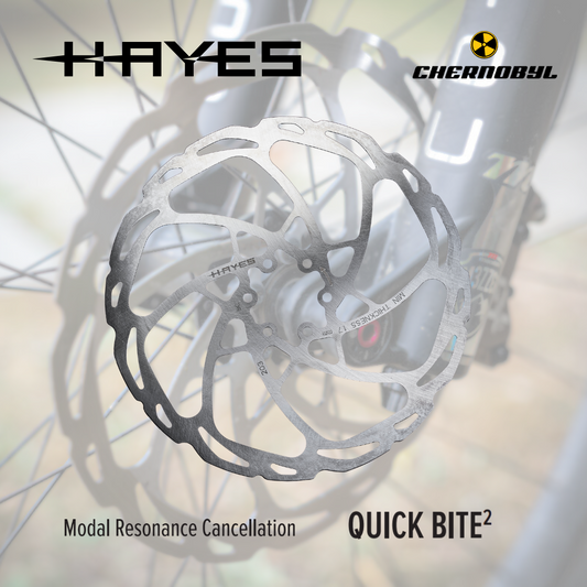 HAYES D-Series 203mm - Disco de Freno