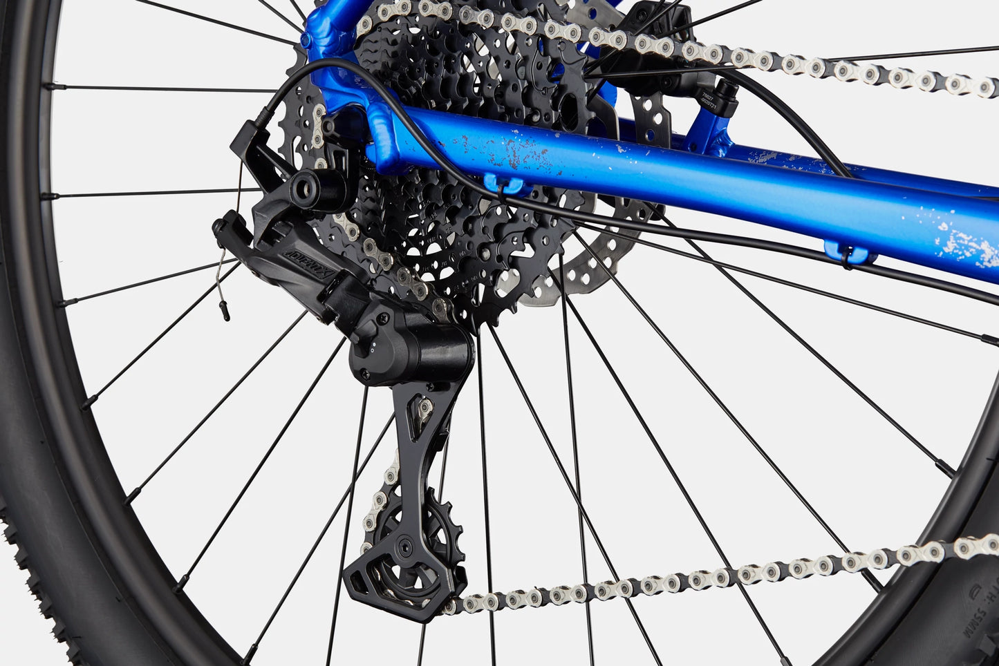 CANNONDALE Trail 5 29", Sonic Blue - Bicicleta