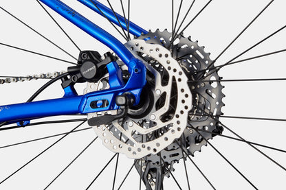 CANNONDALE Trail 5 29", Sonic Blue - Bicicleta
