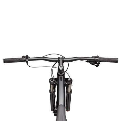 CANNONDALE Trail SL 4 29", Grey - Bicicleta