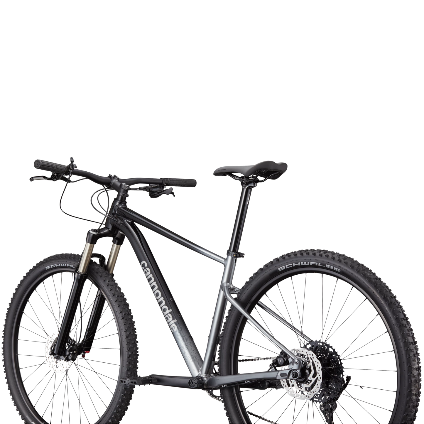 CANNONDALE Trail SL 4 29", Grey - Bicicleta
