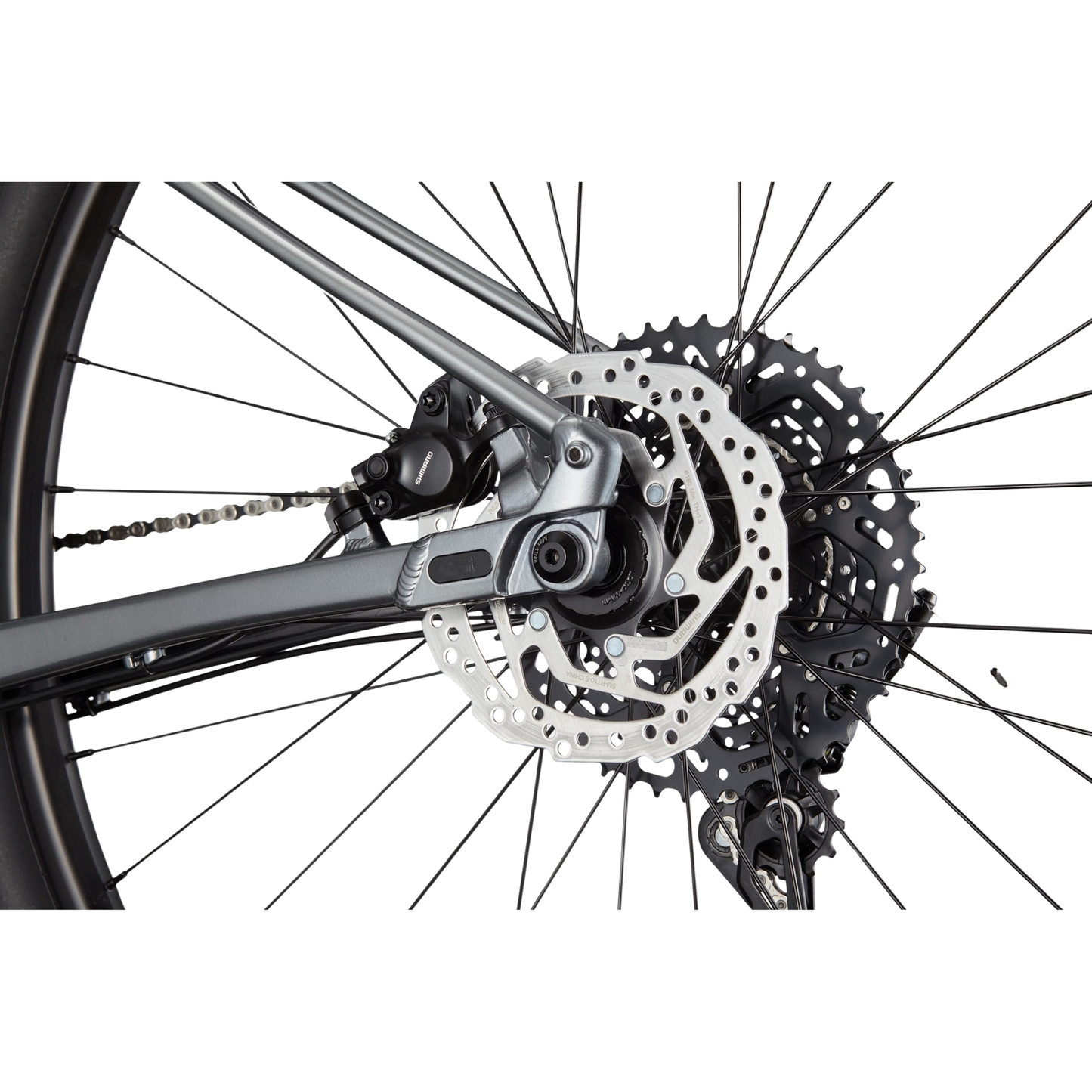 CANNONDALE Trail SL 4 29", Grey - Bicicleta