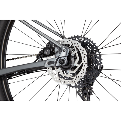 CANNONDALE Trail SL 4 29", Grey - Bicicleta