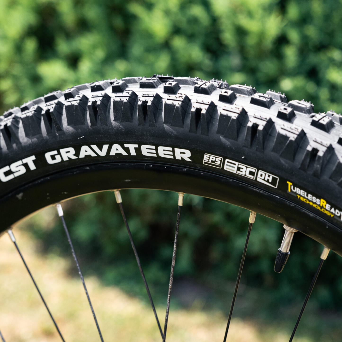 CST Gravateer 29"x2.50 3C DH Casing Tubeless Ready - Black