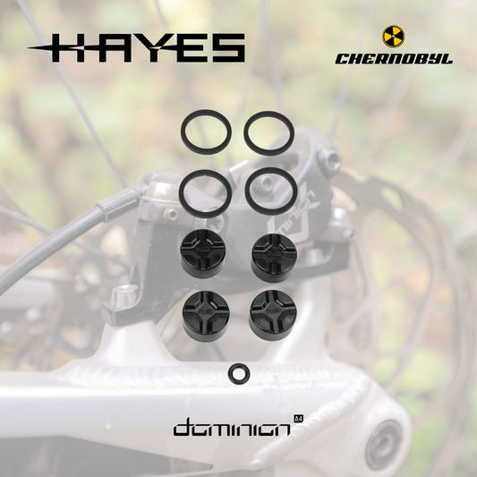 HAYES Dominion A4 - Kit de reconstrucción de Caliper