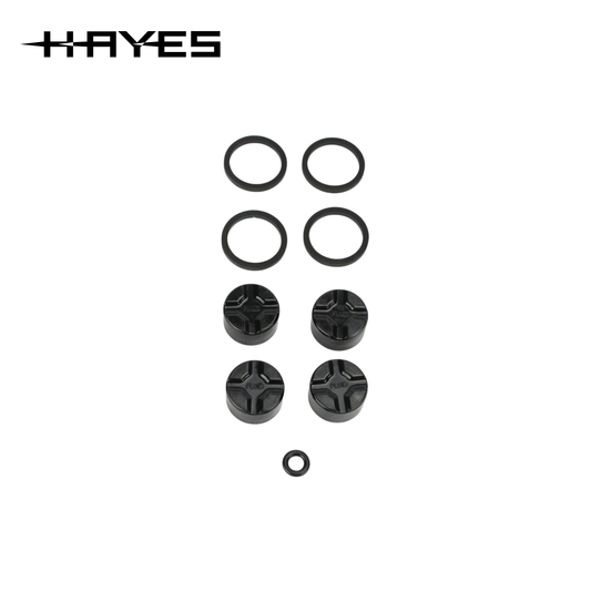 HAYES Dominion A4 - Kit de reconstrucción de Caliper