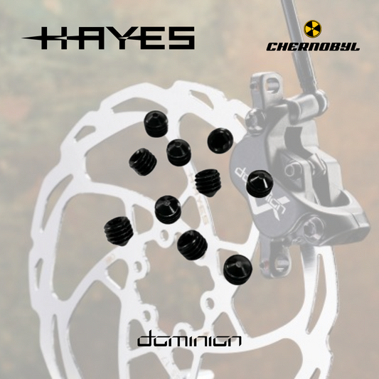 HAYES Tornillos de Purga