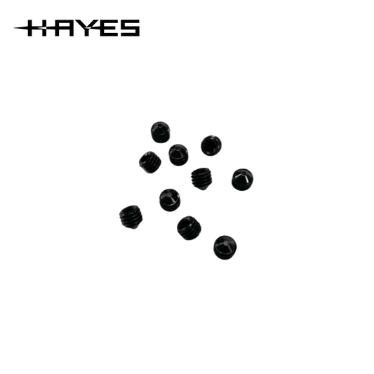 HAYES Tornillos de Purga