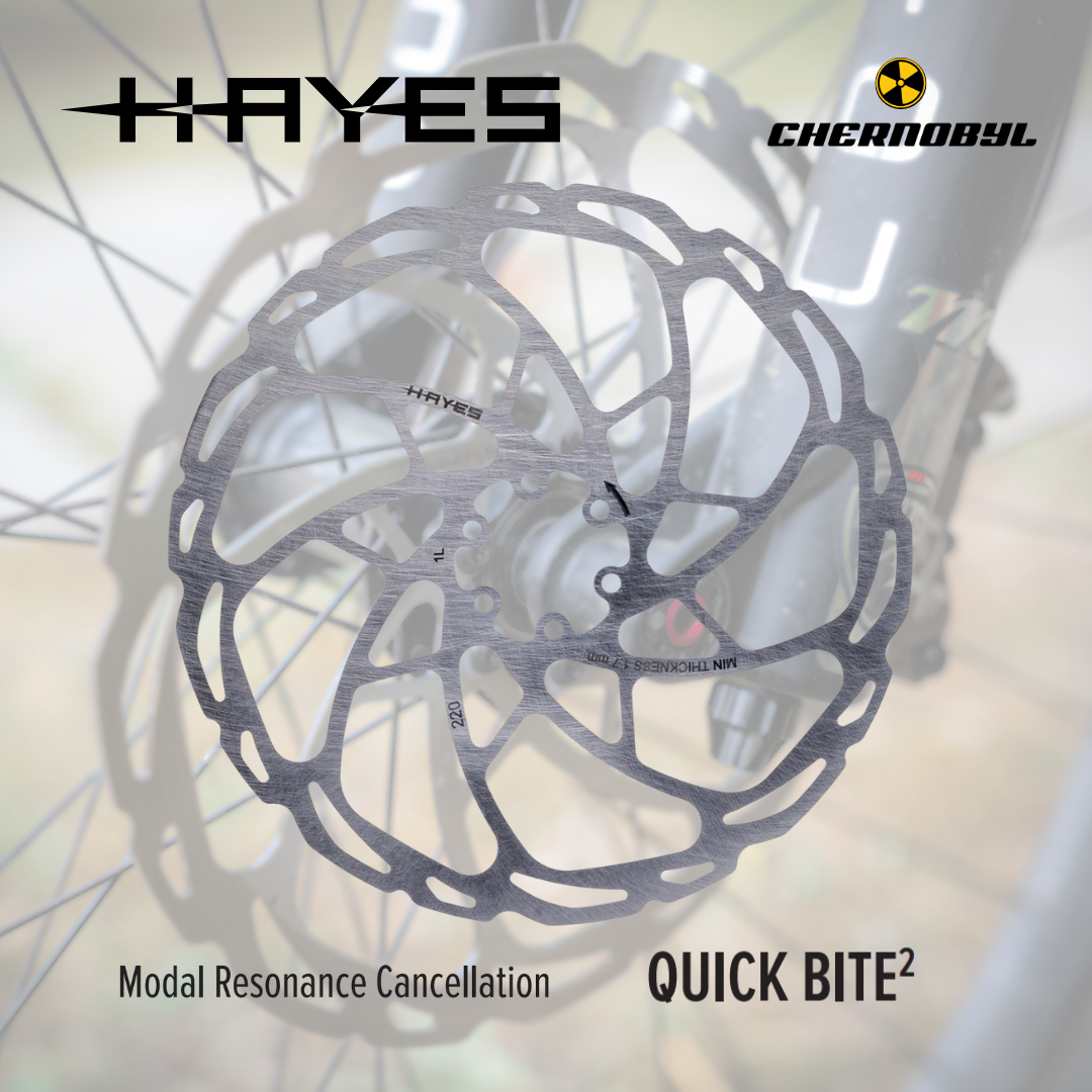 HAYES D-Series 220mm - Disco de Freno