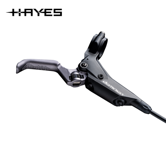 HAYES Dominion, Regular, Black / Grey - Kit de Master y Palanca