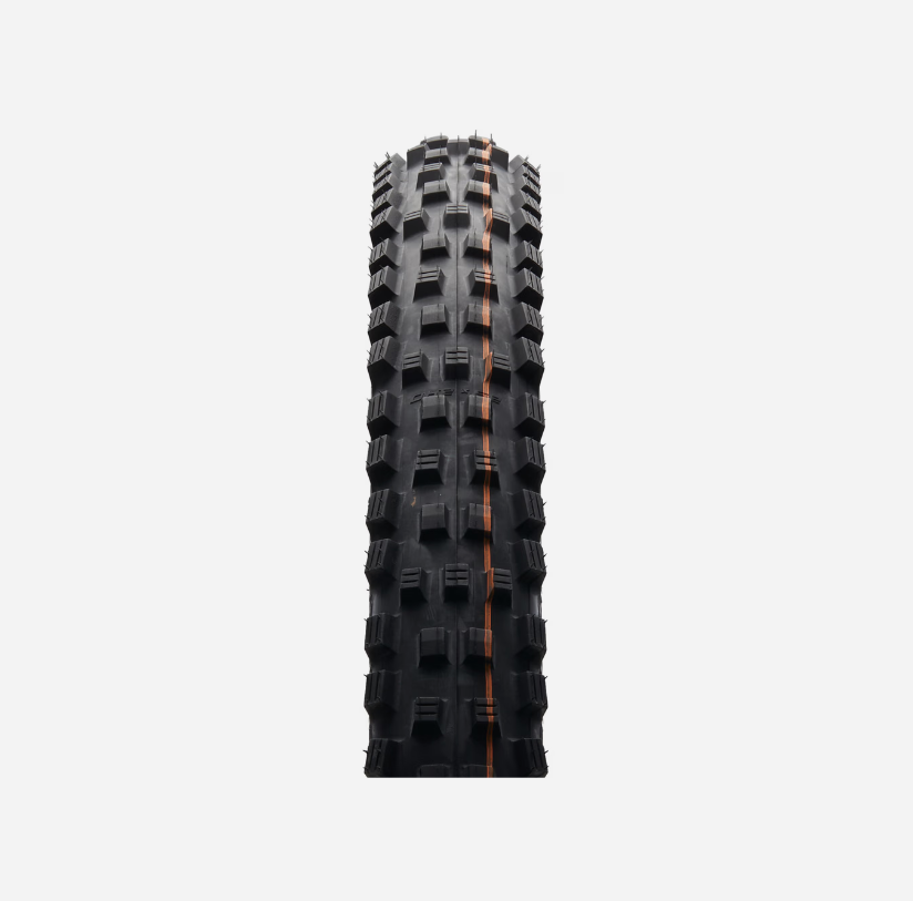 SCHWALBE Magic Mary EVO ADDIX Soft SuperGravity TLE Classic Skin