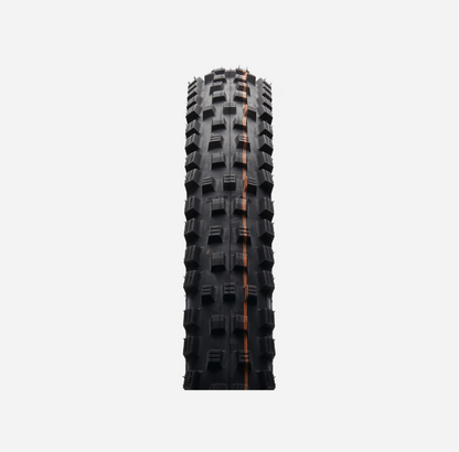 SCHWALBE Magic Mary EVO ADDIX Soft SuperGravity TLE Classic Skin