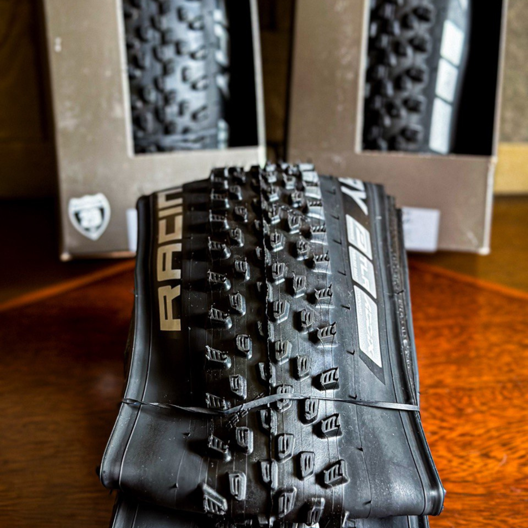 SCHWALBE Racing Ray ADDIX Performance TwinSkin TLR