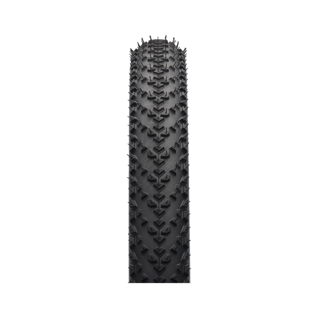 CONTINENTAL Race King 29" Black Chili ProTection Premium TLR - Bernstein Edition