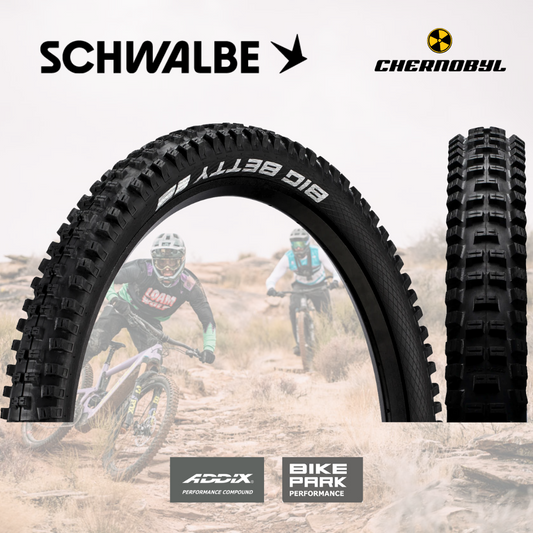 SCHWALBE Big Betty BikePark ADDIX Performance - Alambre