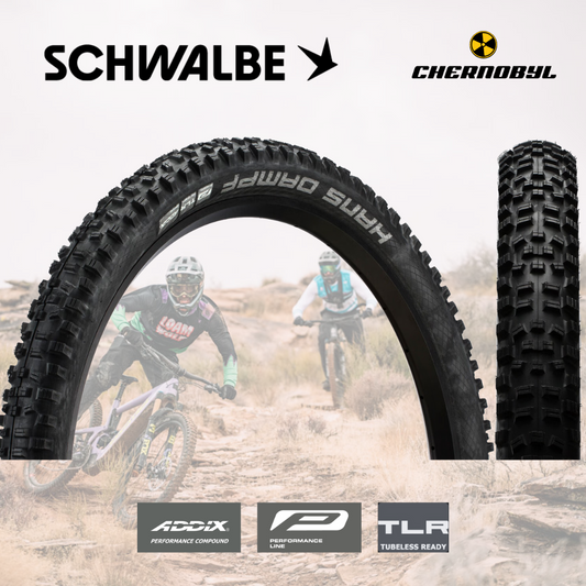 SCHWALBE Hans Dampf ADDIX Performance TwinSkin TLR