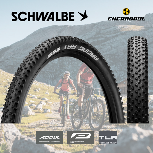 SCHWALBE Racing Ray ADDIX Performance TwinSkin TLR