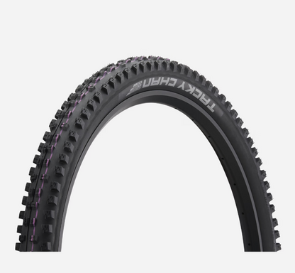 SCHWALBE Tacky Chan EVO ADDIX UltraSoft SuperDownhill TLE