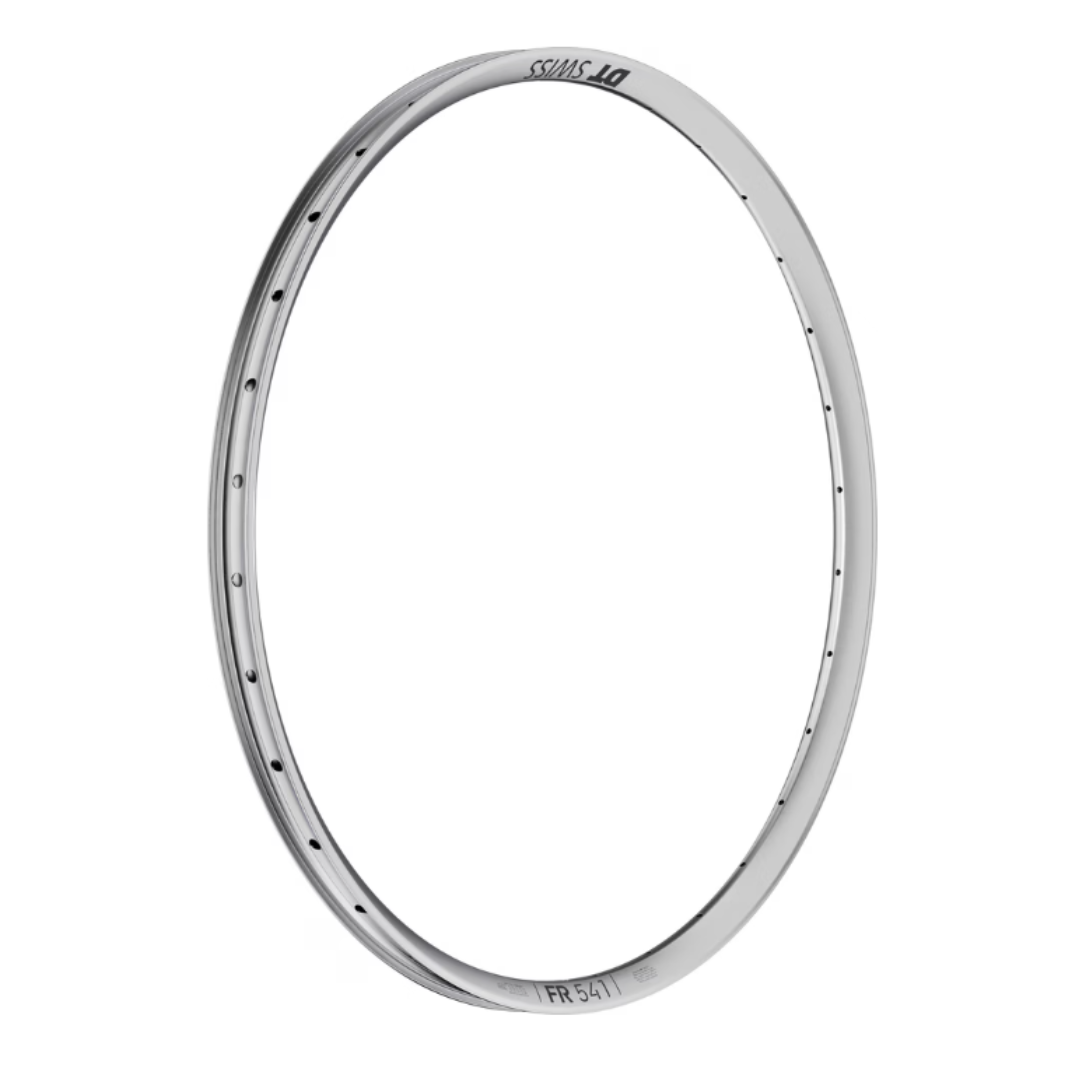 DT SWISS FR 541 29" 32H Silver