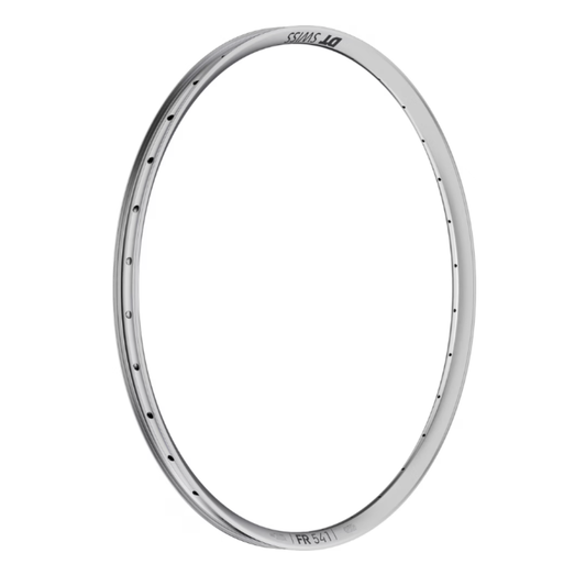 DT SWISS FR 541 29" 32H Silver