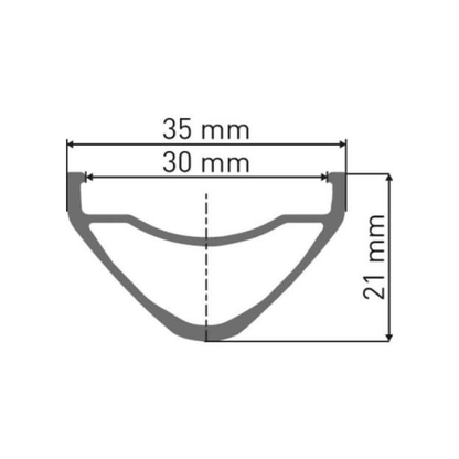 DT SWISS FR 541 29" 32H Silver
