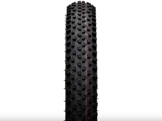 SCHWALBE Racing Ray 29"x2.25 EVO ADDIX Speed SuperRace TLE Transparent Skin