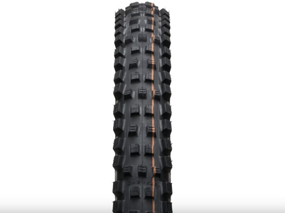 SCHWALBE Magic Mary EVO ADDIX Soft SuperGravity TLE Bronze Skin