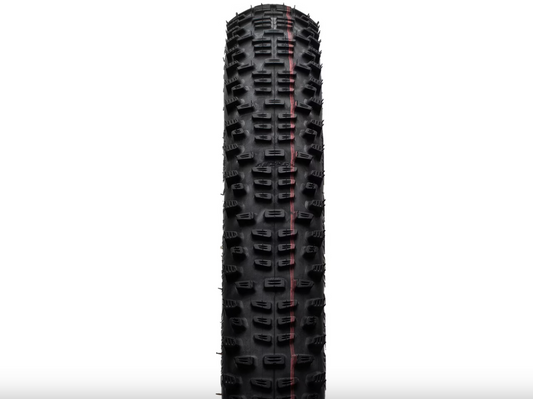 SCHWALBE Racing Ralph 29"x2.25 EVO ADDIX Speed SuperRace TLE Transparent Skin OEM (Sin caja)