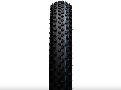 SCHWALBE Racing Ray EVO ADDIX SpeedGrip SuperGround TLE