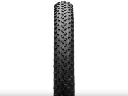 SCHWALBE Racing Ray ADDIX Performance TwinSkin TLR